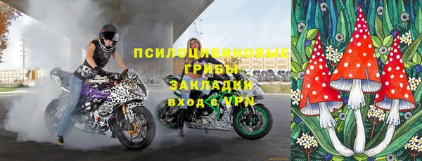 ГАЛЛЮЦИНОГЕННЫЕ ГРИБЫ Армянск