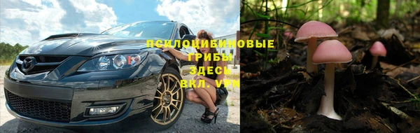 амф Вуктыл