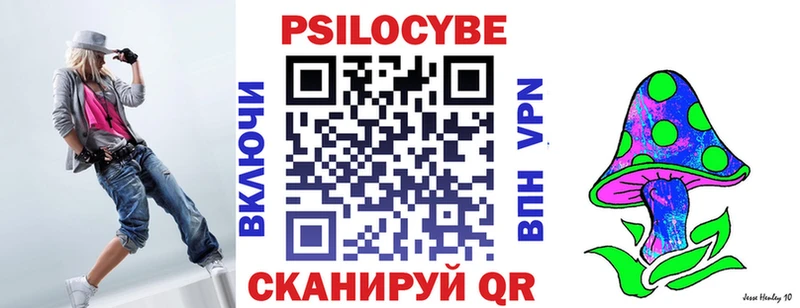 ОМГ ОМГ ТОР  Канаш  Псилоцибиновые грибы Cubensis 